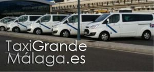 www.taxigrandemalaga.es taxisreserva.com