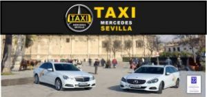 www.taxi-sevilla.es taxisreserva.com